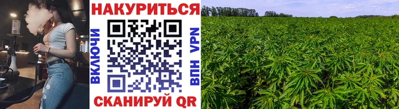 Хочу наркоту Курган COCAIN  Галлюциногенные грибы  Экстази  ГАШ  АМФ  Конопля 