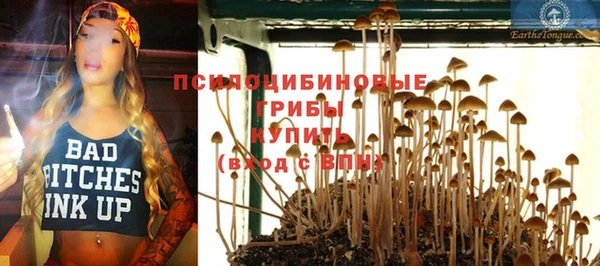 mix Аркадак