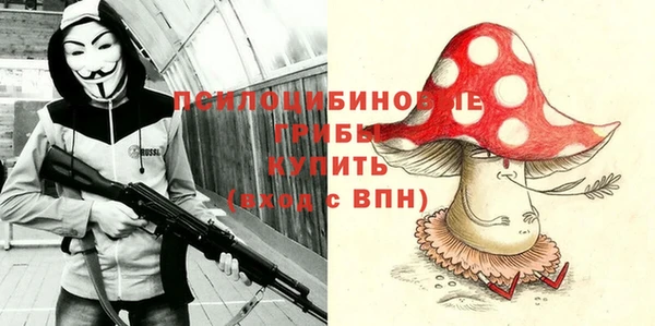 твердый Армянск