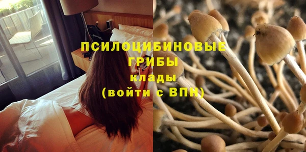 трава Арсеньев