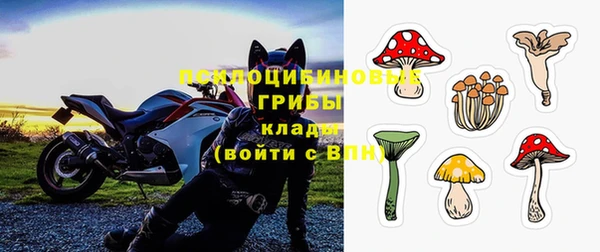 трава Арсеньев